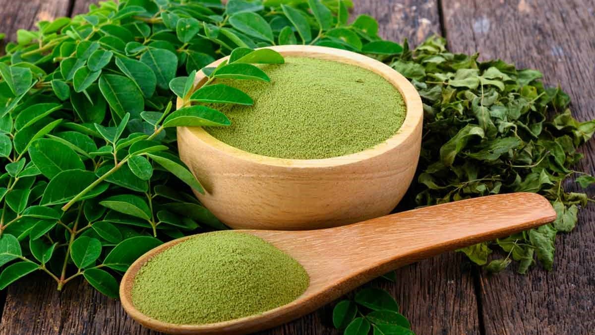  Moringa Powder